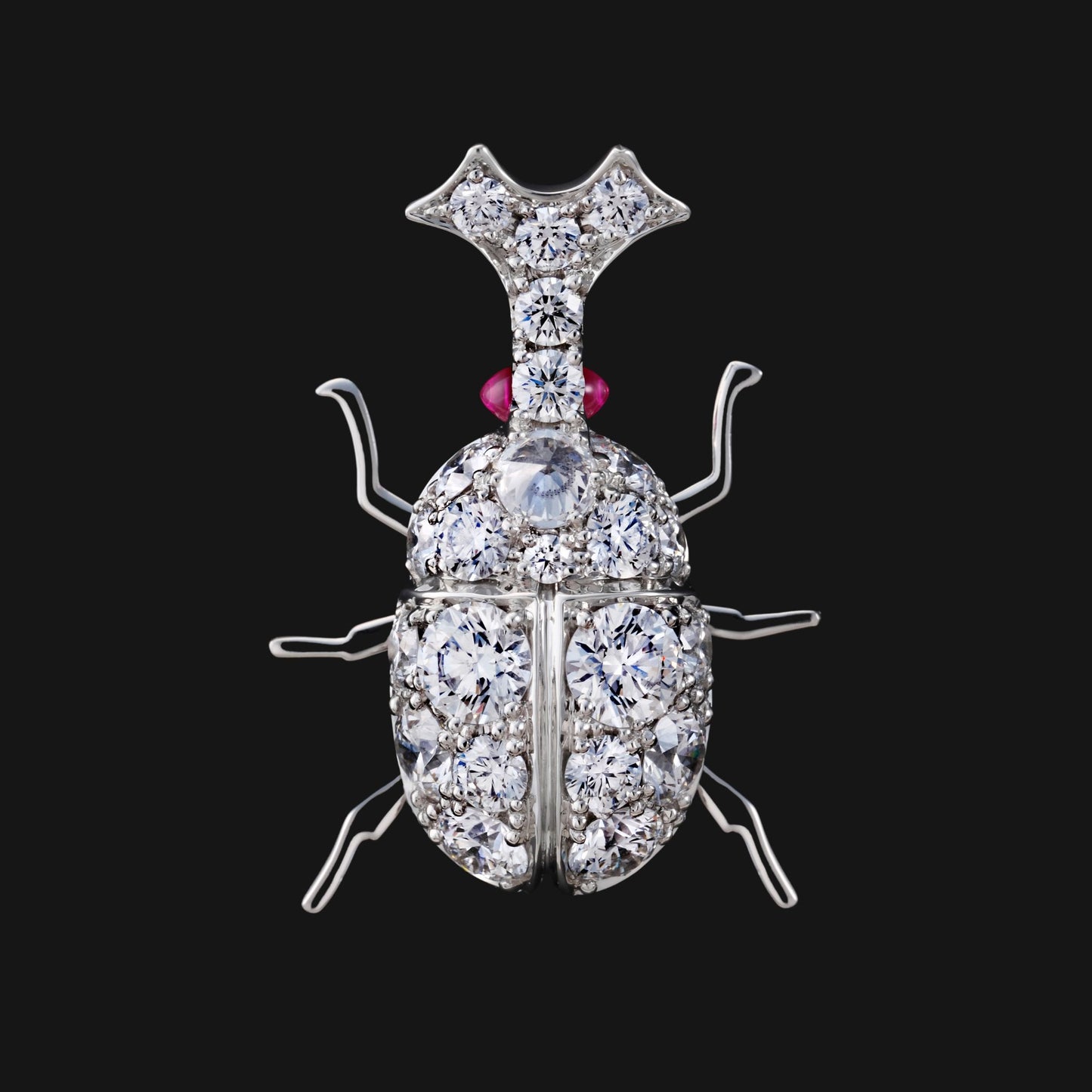 Beetle