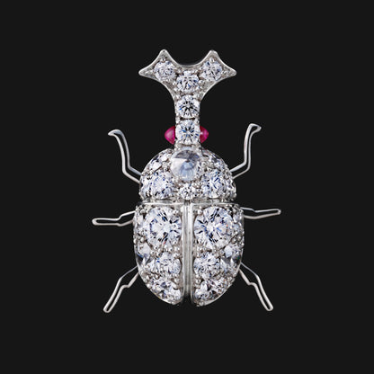 Beetle
