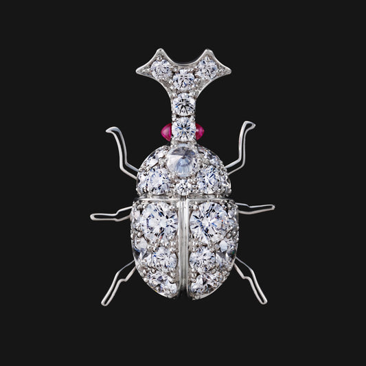 Beetle