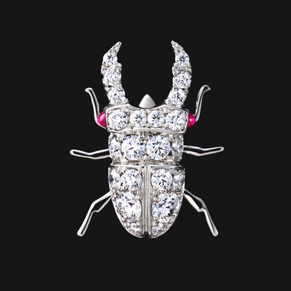 Stag beetle
