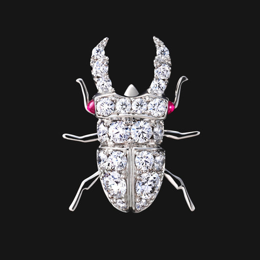 Stag beetle