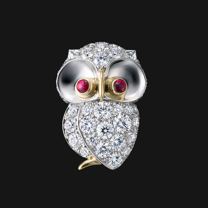 Horned owl