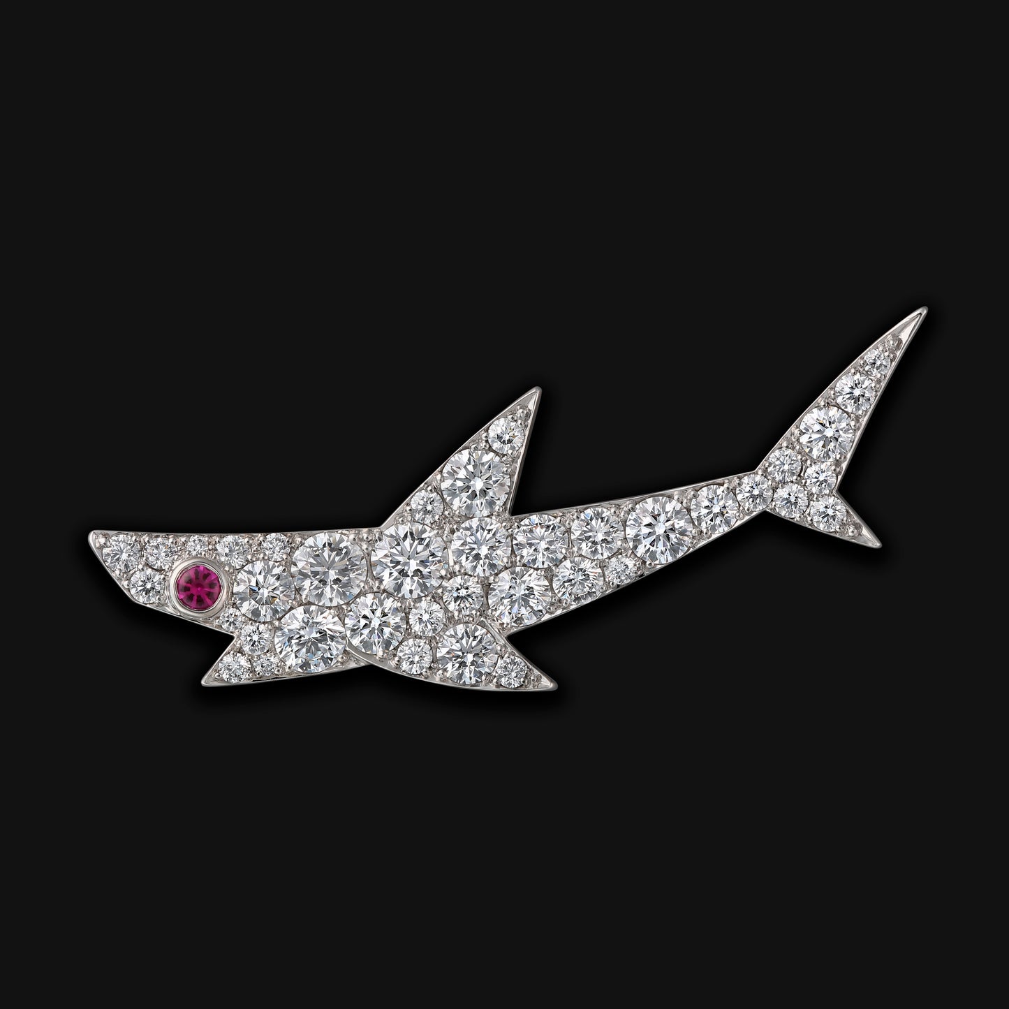 Shark