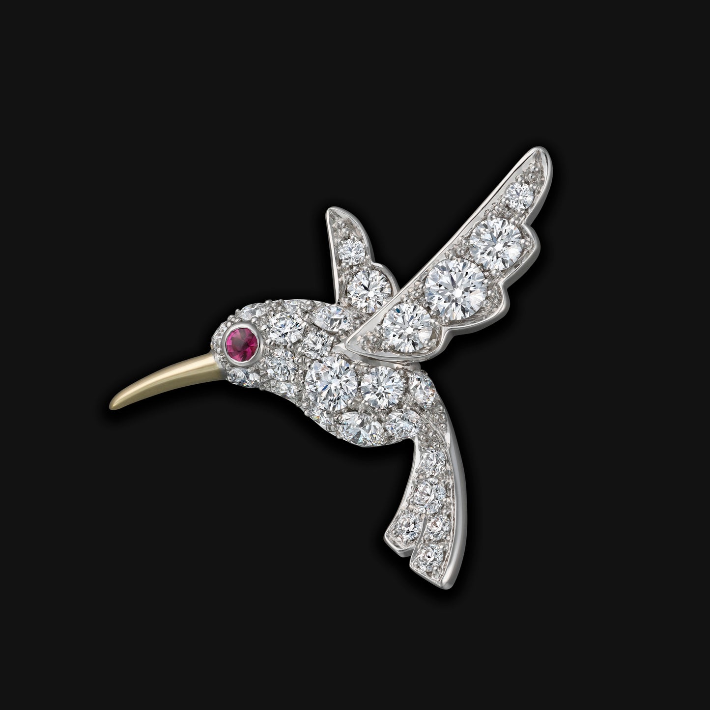 Humming bird　
