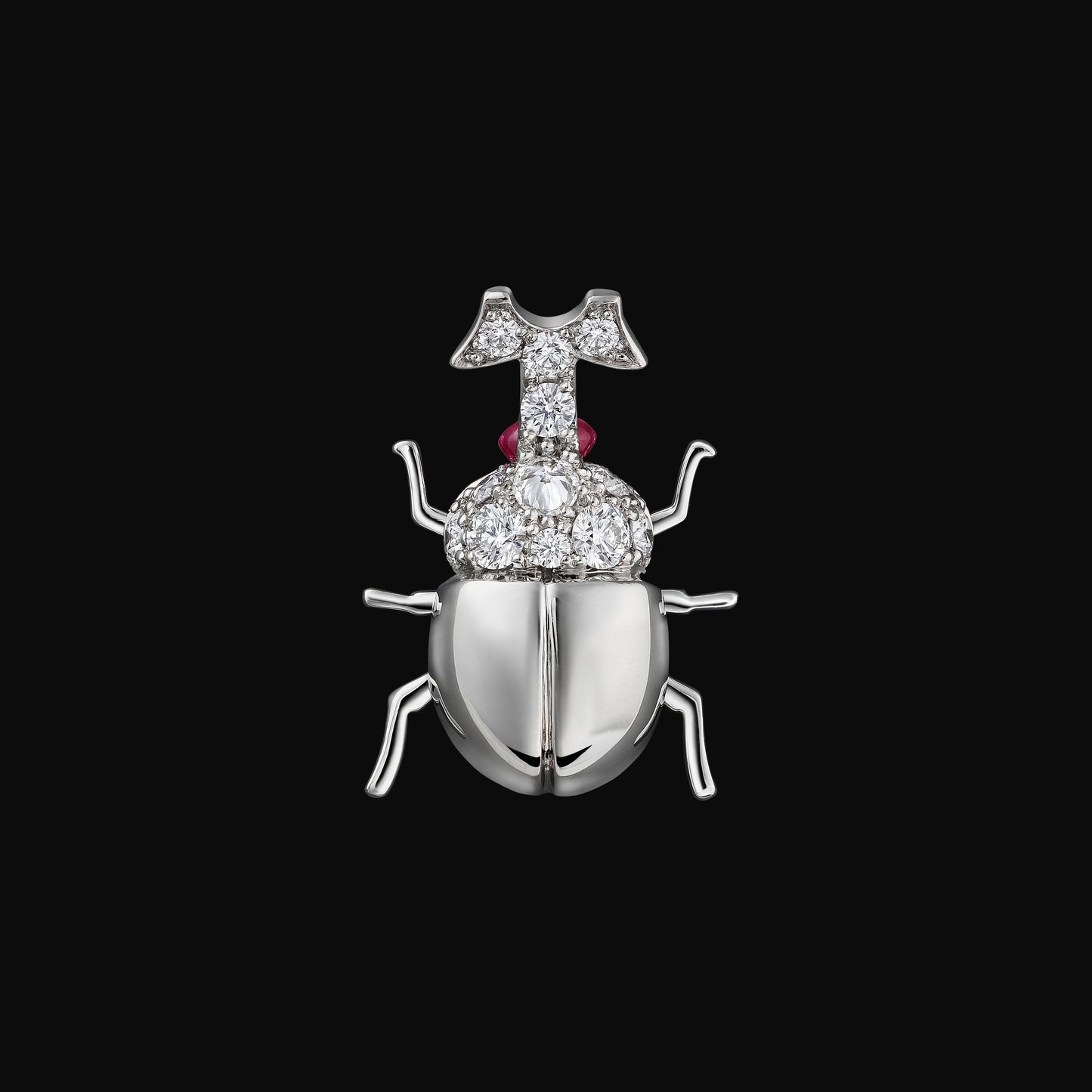 Beetle