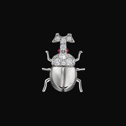 Beetle