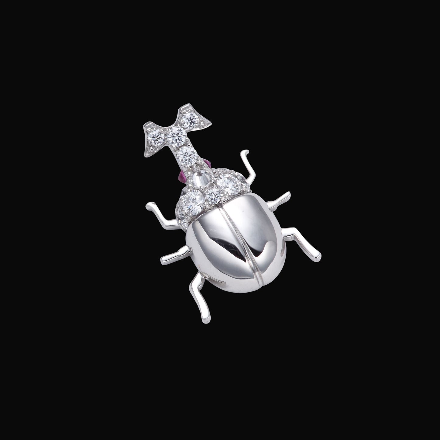 Beetle