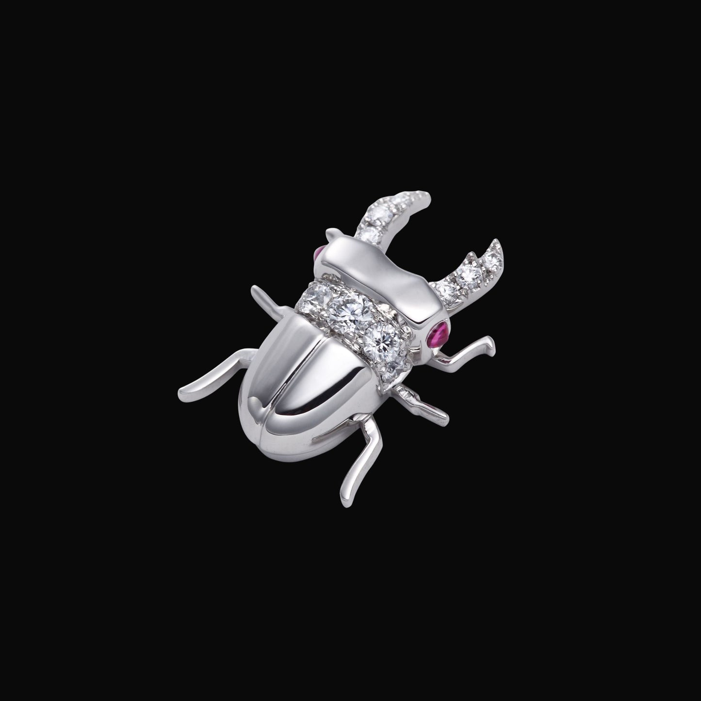Stag beetle