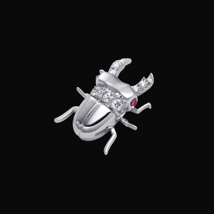 Stag beetle