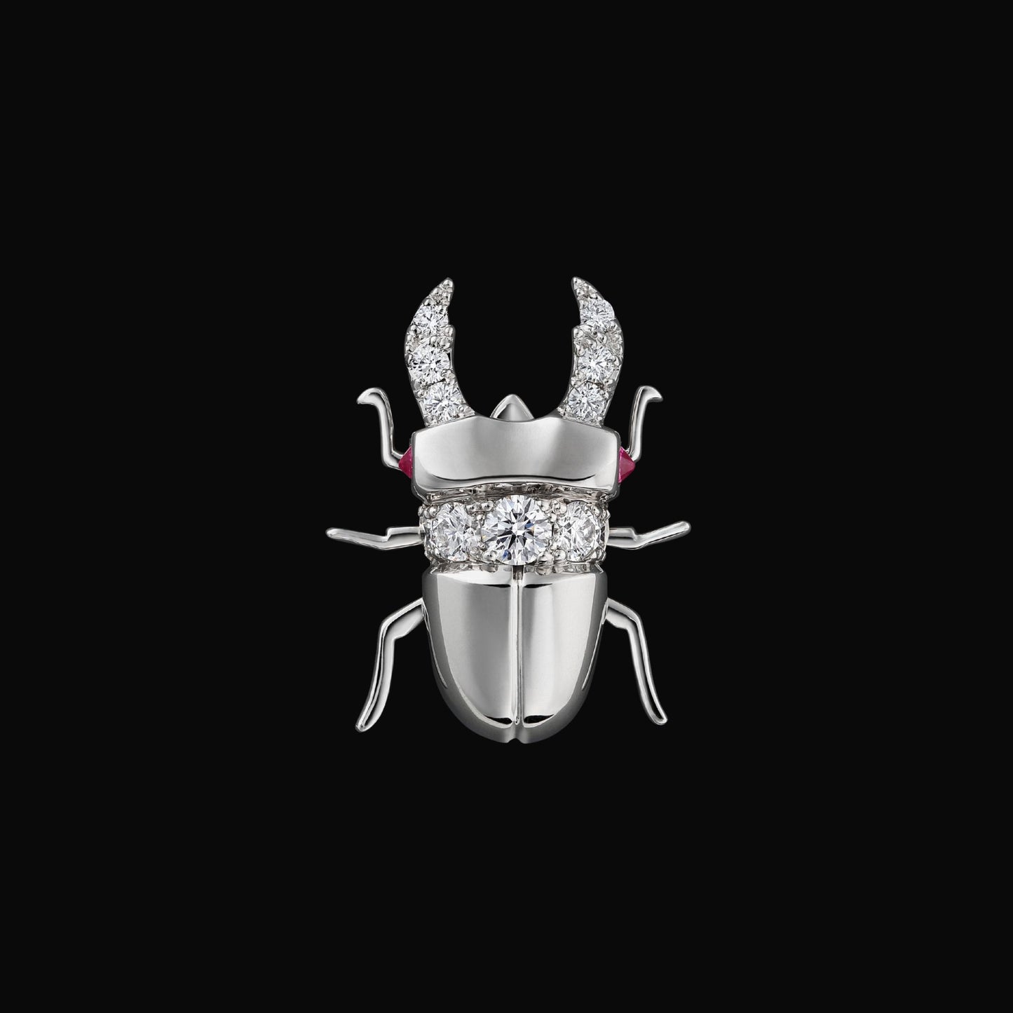 Stag beetle