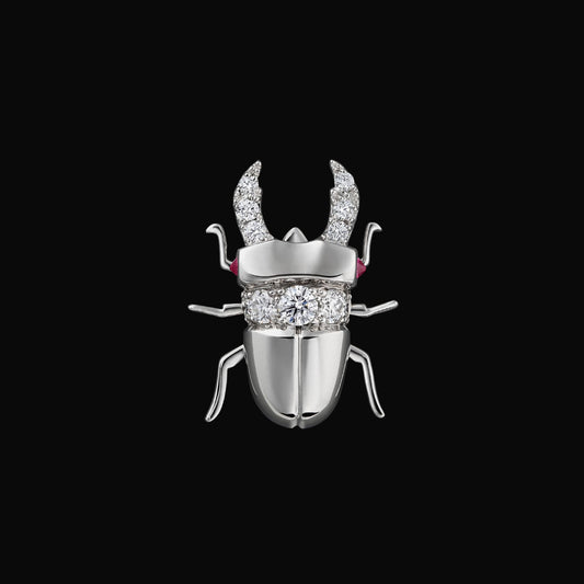 Stag beetle