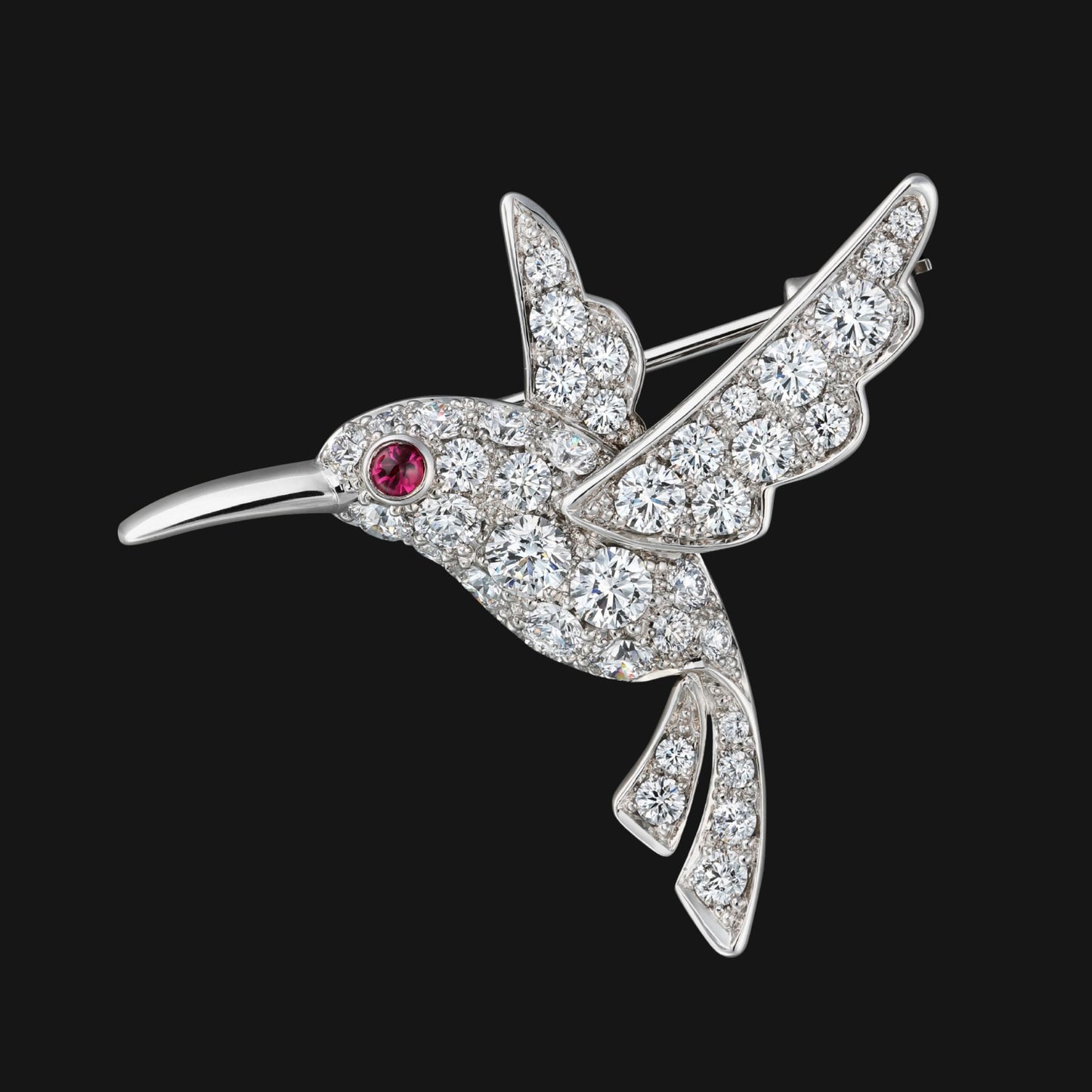 Humming bird L
