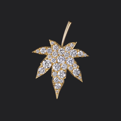Maple