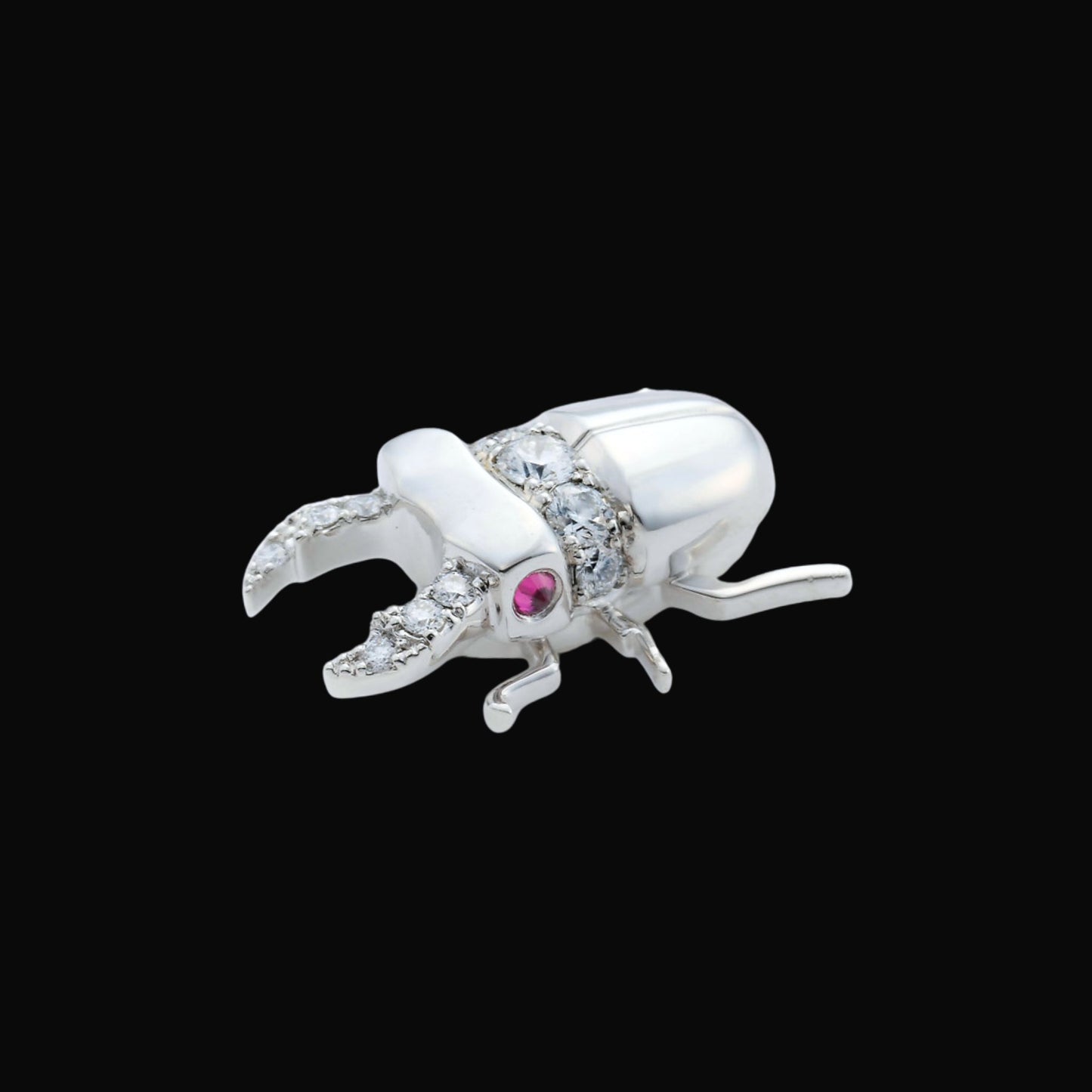 Stag beetle