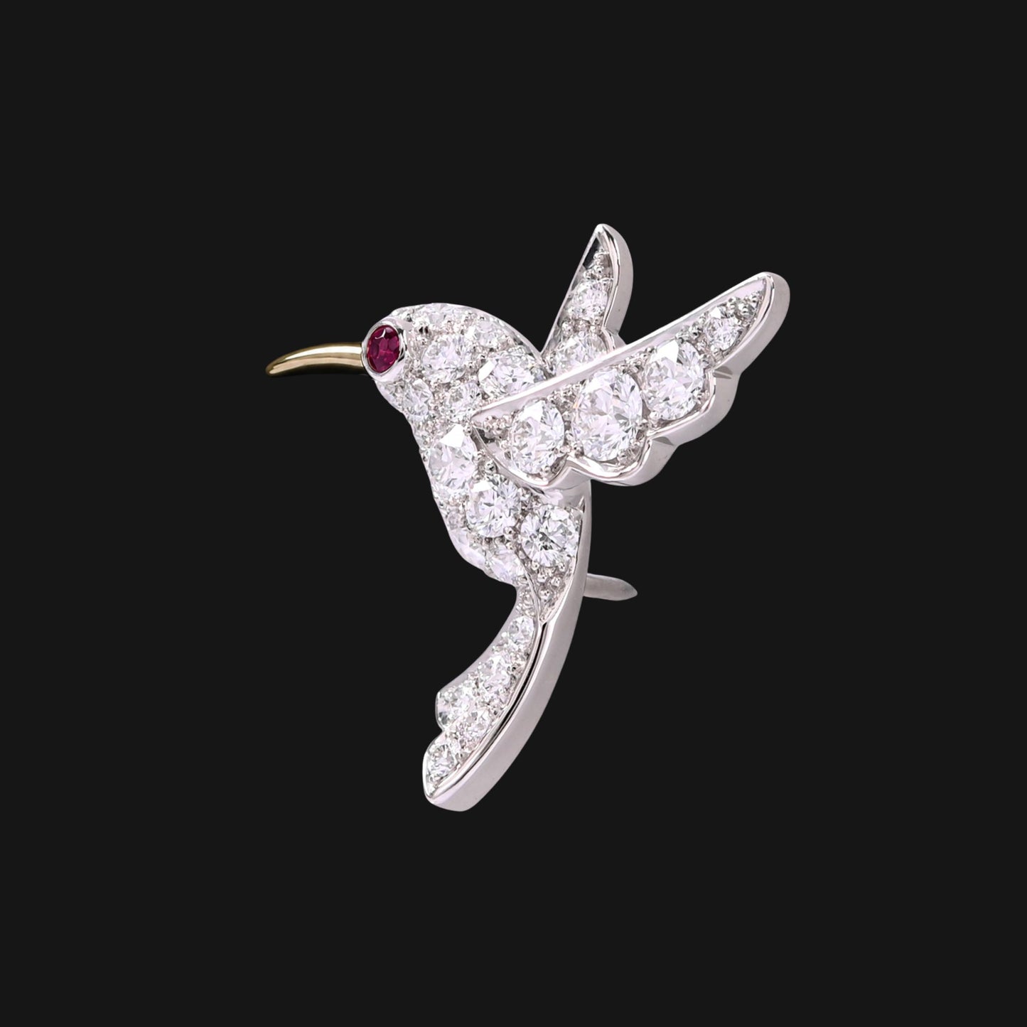Humming bird　