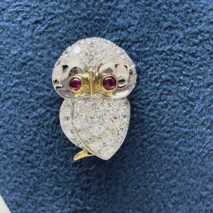 Owl