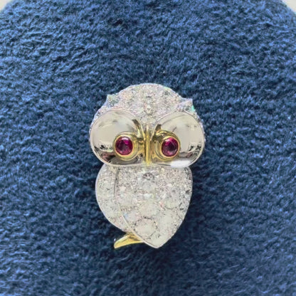 Horned owl